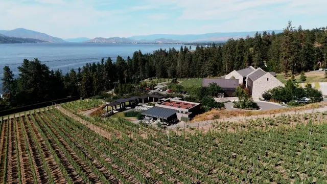 Aerial vineyards: Quinn & Steve's wedding at CedarCreek Estate Winery, Kelowna. Still from the Pixel Pro wedding film.