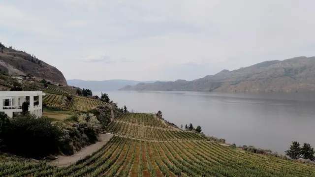 Lake and vineyards: Laurie & Brad's wedding at Vows and Vines, Summerland. Still from the Pixel Pro wedding film.